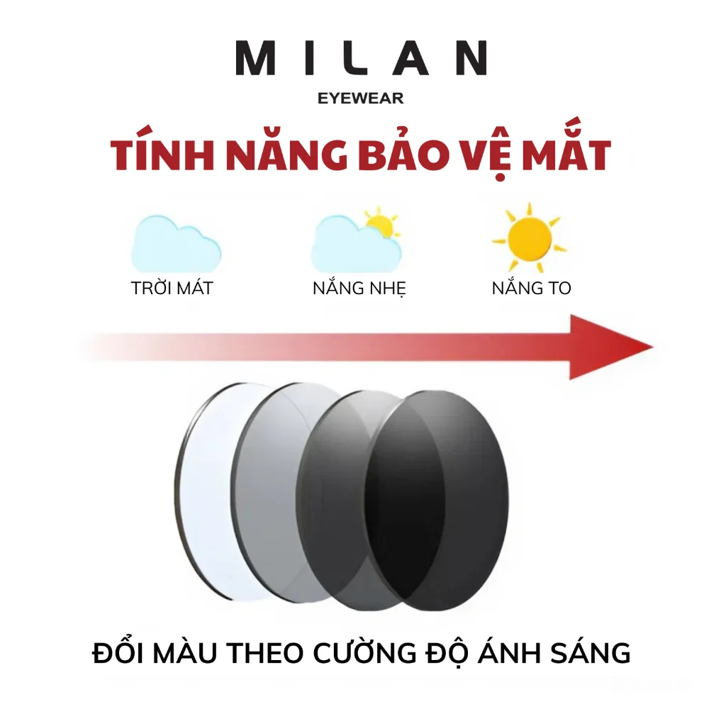 Tổng quan thương hiệu Essilor và cẩm nang lựa chọn mắt kính chuyên sâu 2026